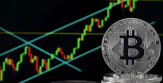 Robinhood豪掷数十亿押注SHIB：这次能赌对吗？