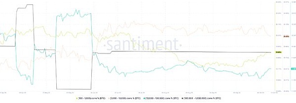 13家机构抢滩比特币ETF：一场即将改变加密货币市场的监管博弈